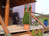 Stainless Steel Deck Cables